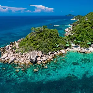 Tao Thong 1 Ko Tao